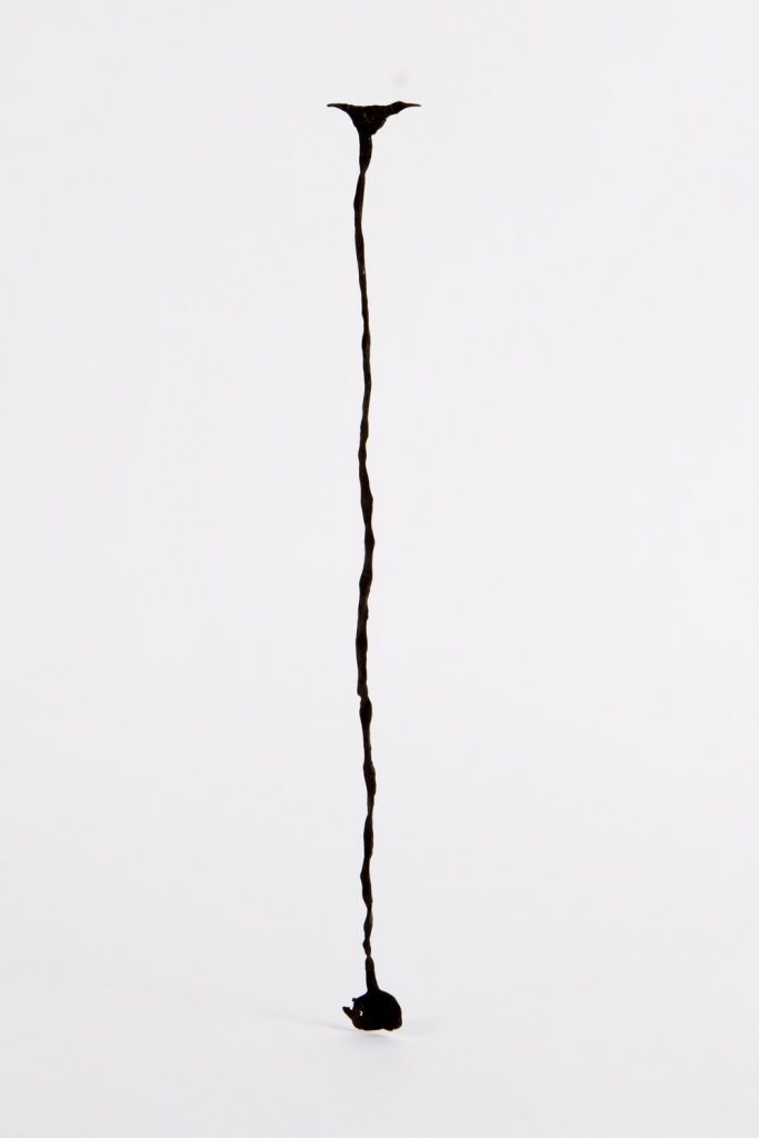 A photograph of a long thin string-like object with a small mass at one end.